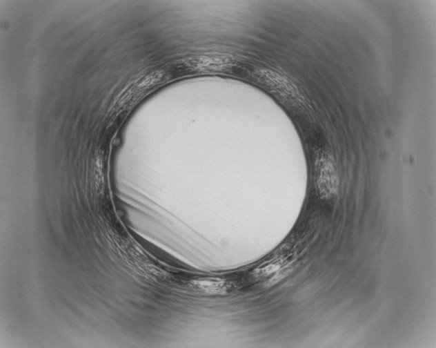 X0000059830506200511111722