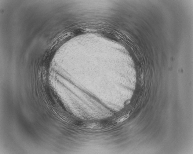 X0000059830507200511111722