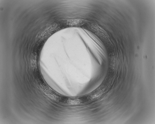 X0000059830510200511111722