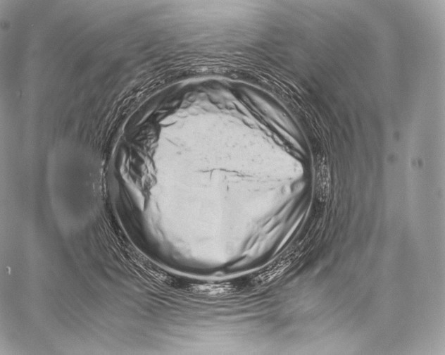 X0000059830511200511111722
