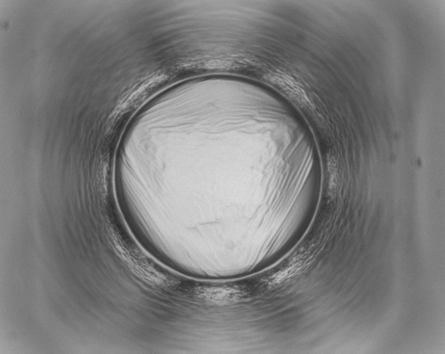 X0000059830542200511111721