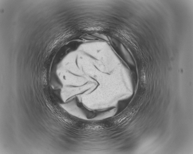 X0000059830547200511111721