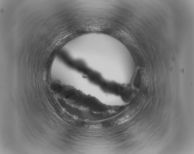 X0000059830548200511111721