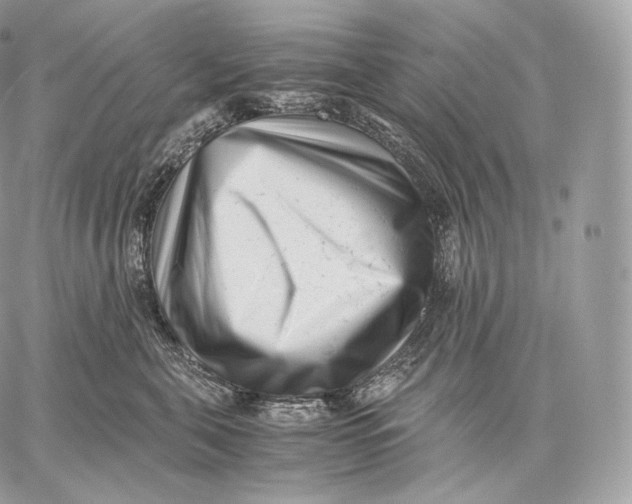 X0000059830571200511111722
