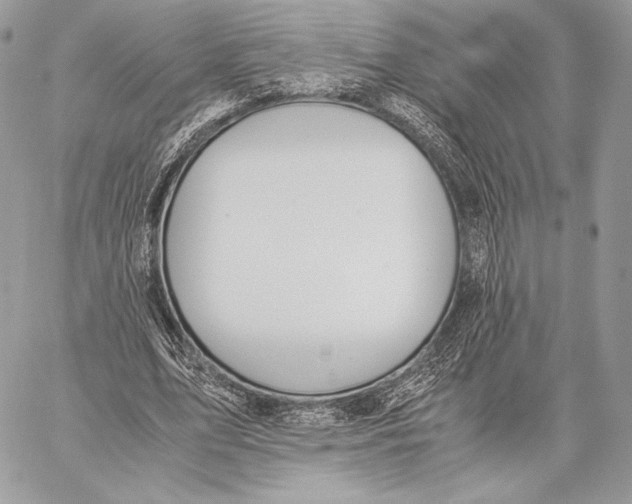 X0000059830583200511111721