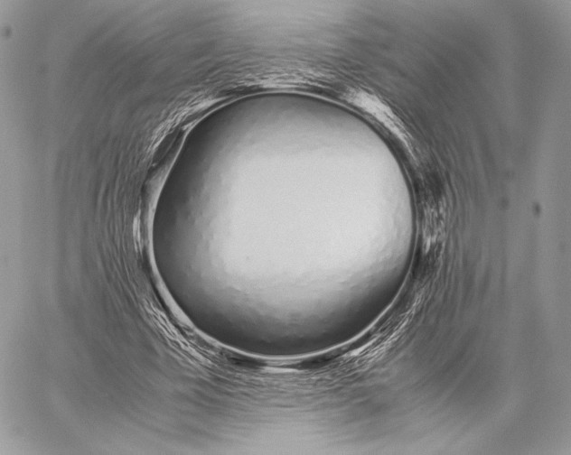 X0000059830585200511111721