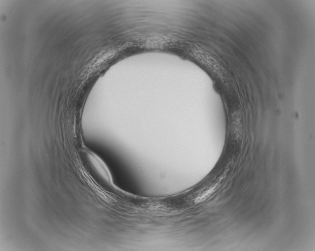 X0000059830589200511111721