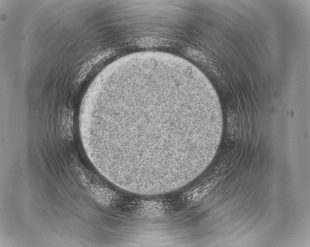 X0000059830592200511111721