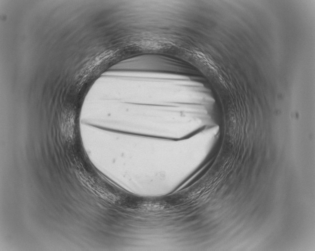 X0000059830596200511111721
