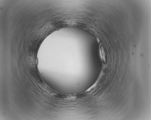 X0000059830609200511111720