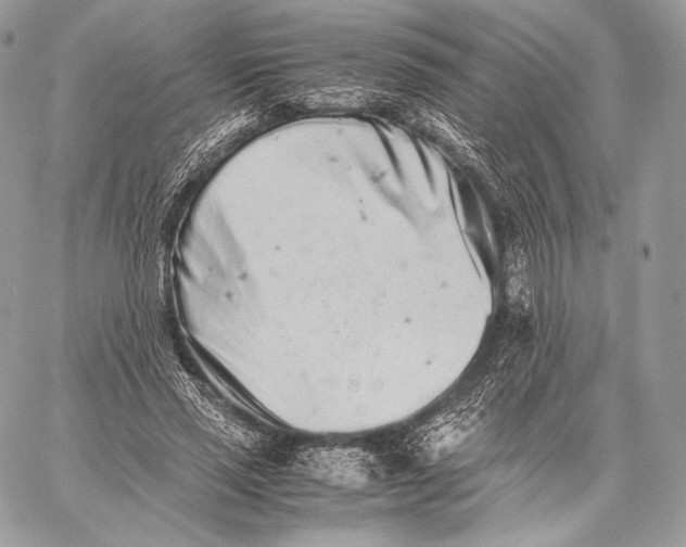 X0000059830637200511111720