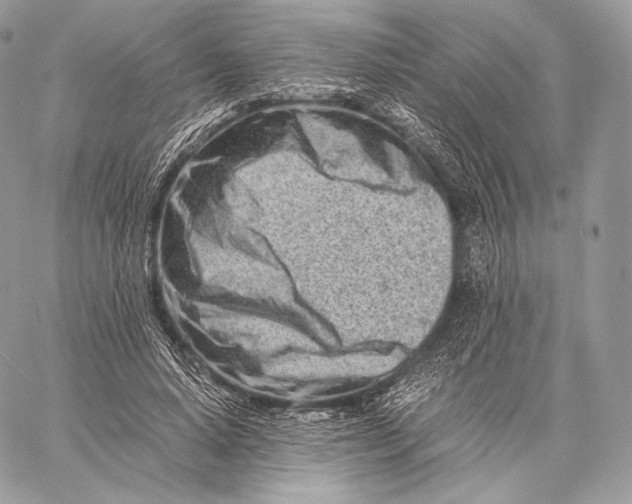 X0000059830640200511111720