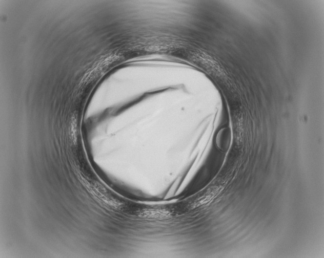 X0000059830644200511111720