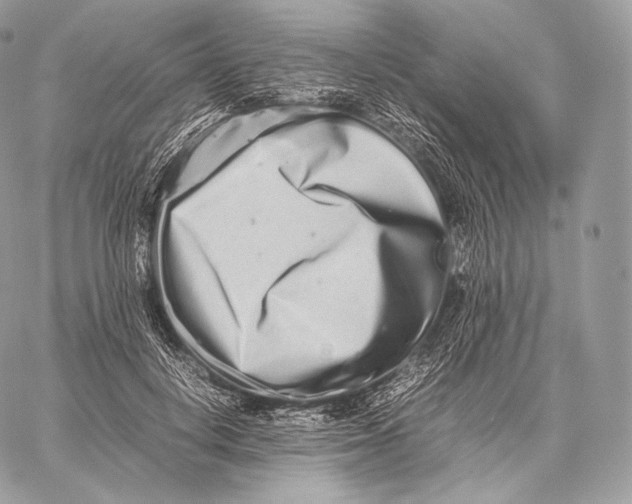 X0000059830648200511111720