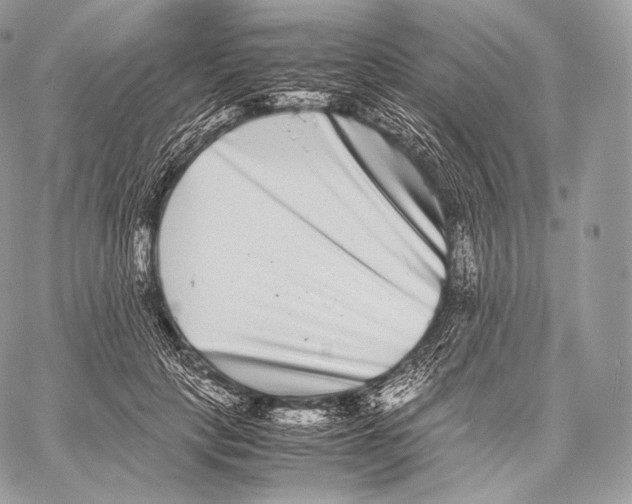 X0000059830649200511111720