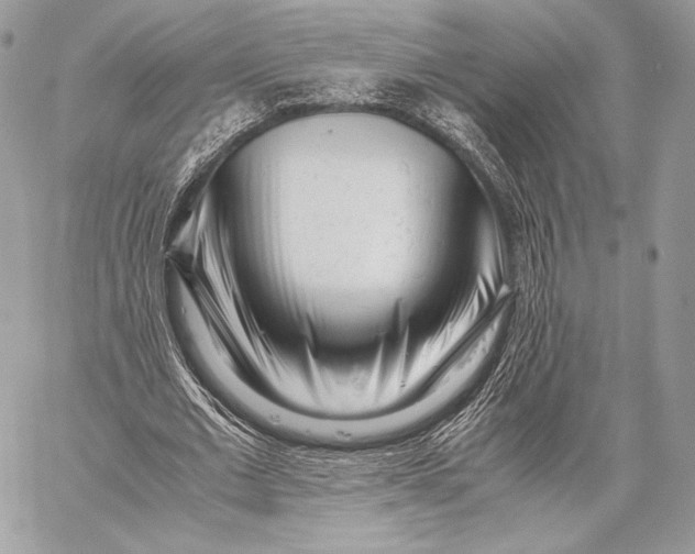 X0000059830677200511111719
