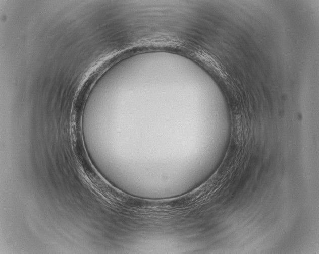 X0000059830680200511111719