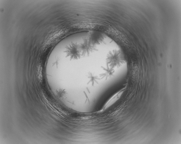 X0000059830692200511111719