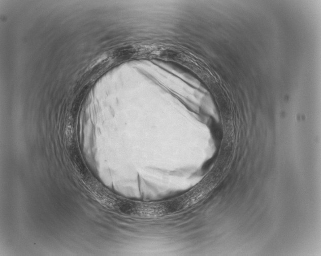 X0000059830707200511111719
