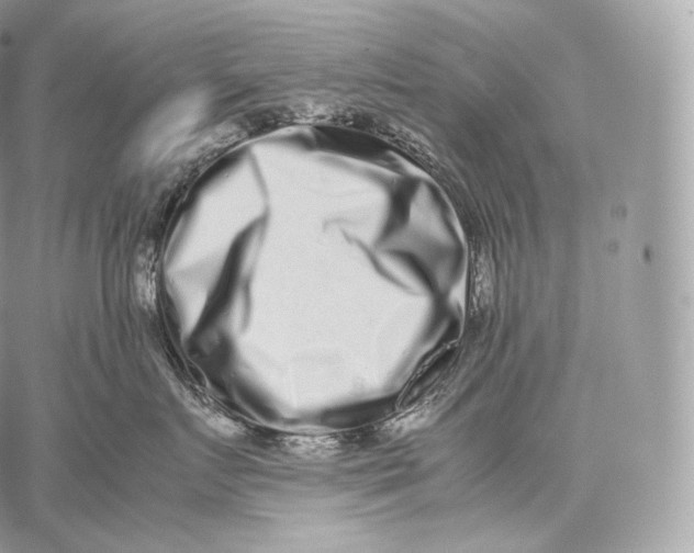X0000059830719200511111719