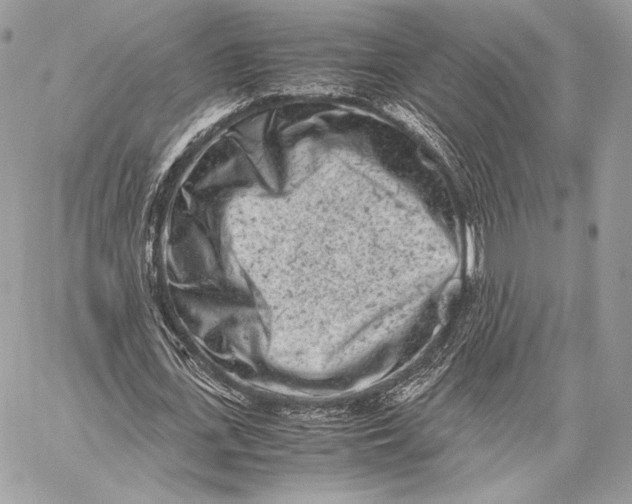 X0000059830723200511111718