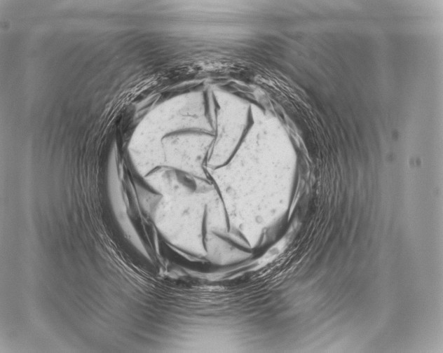 X0000059830748200511111718