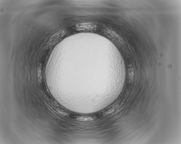 X0000059830749200511111718