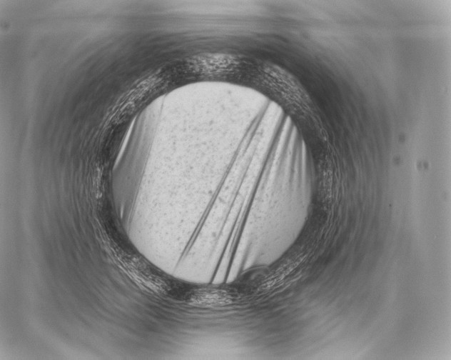 X0000059830750200511111718