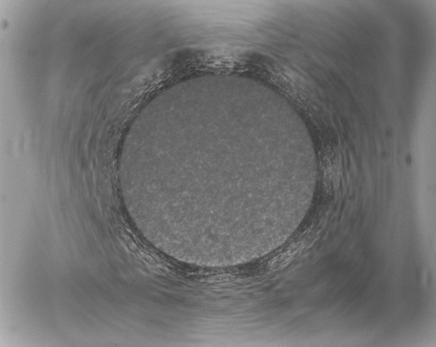 X0000059830769200511111718