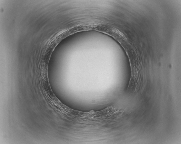 X0000059830773200511111718