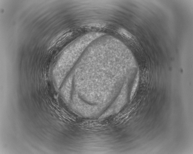X0000059830774200511111718