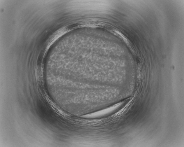 X0000059830779200511111718