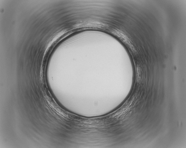 X0000059830780200511111718