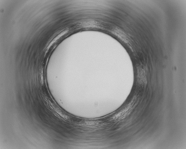 X0000059830782200511111718