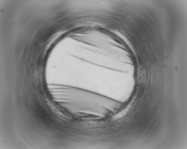 X0000059830783200511111718