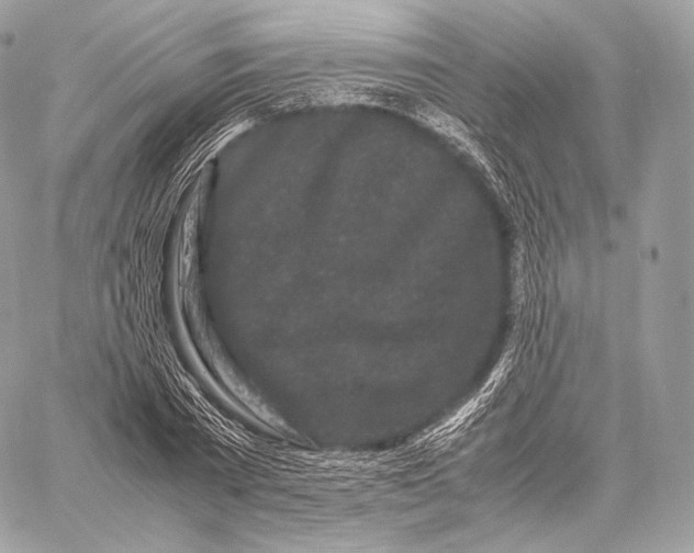 X0000059830785200511111717
