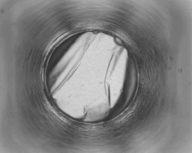 X0000059830790200511111717