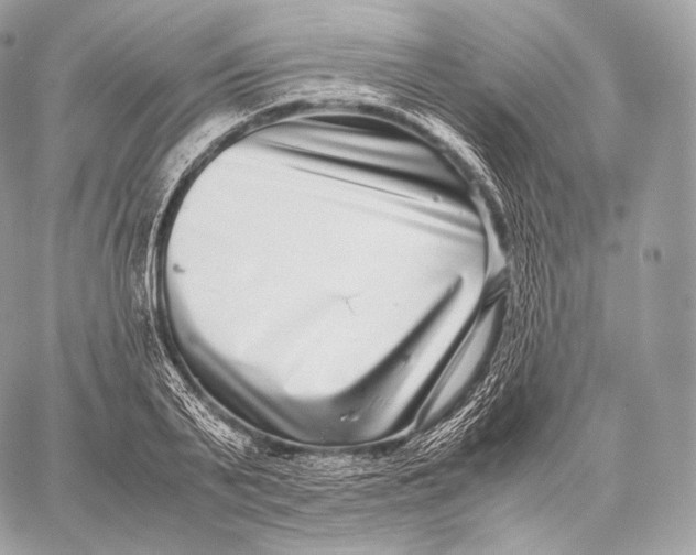 X0000059830791200511111717