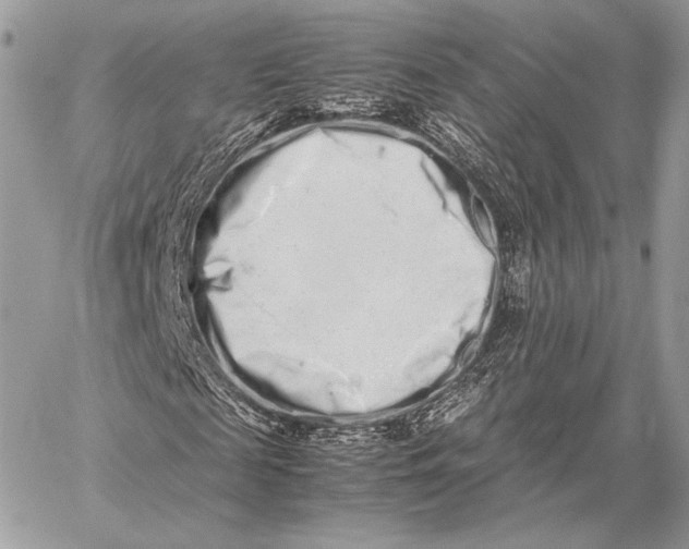 X0000059830817200511111716