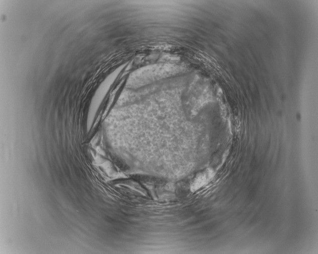 X0000059830818200511111716