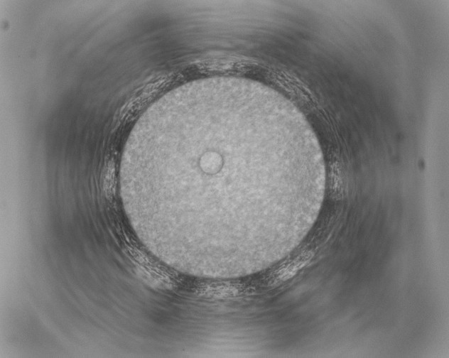 X0000059830820200511111716