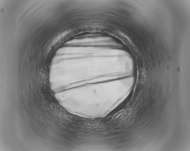 X0000059830823200511111716