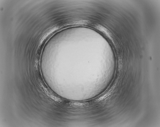 X0000059830827200511111716