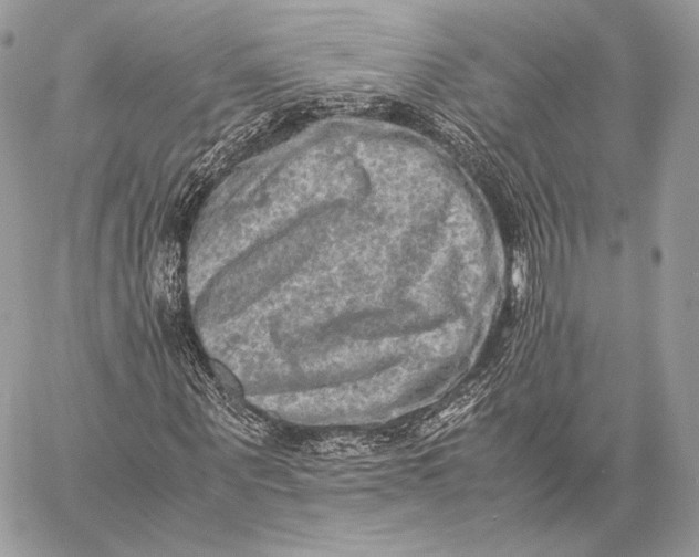 X0000059830867200511111716