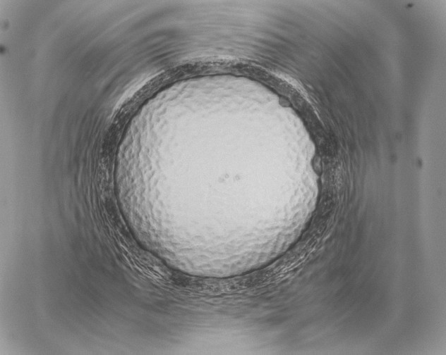 X0000059830871200511111716