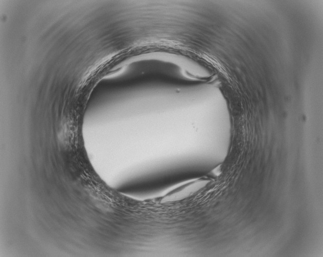 X0000059830872200511111716