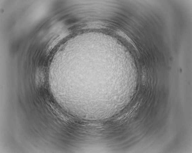 X0000059830874200511111716