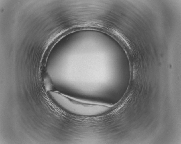X0000059830876200511111716