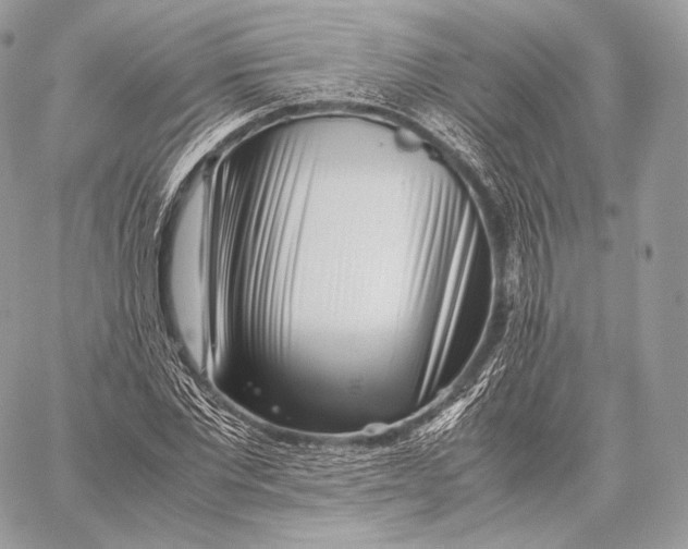 X0000059830877200511111716