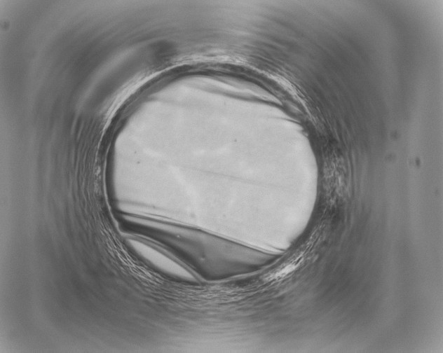 X0000059830879200511111716